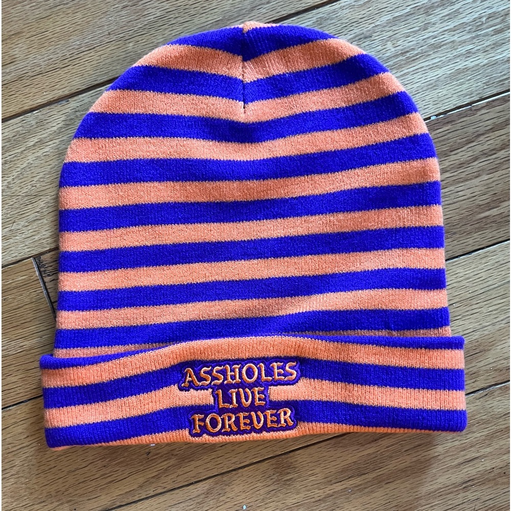 Purple and orange striped beanie. “Assholes Live Forever” embroidered on front.